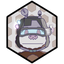 Orbit 578